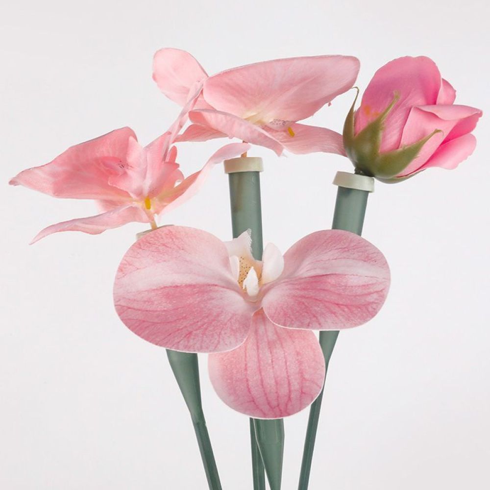 Florist Supply Shop - 花用保存剤チューブ 透明プラスチックバイアル 生花ブーケ用 水分貯蔵 栄養サポート 花屋用品